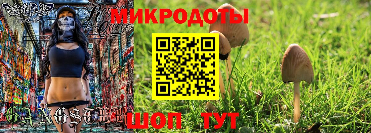 Мирный  купить   Вход с VPN  Псилоцибиновые грибы Psilocybe 
